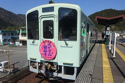 島式ホームにうすずみ観桜号